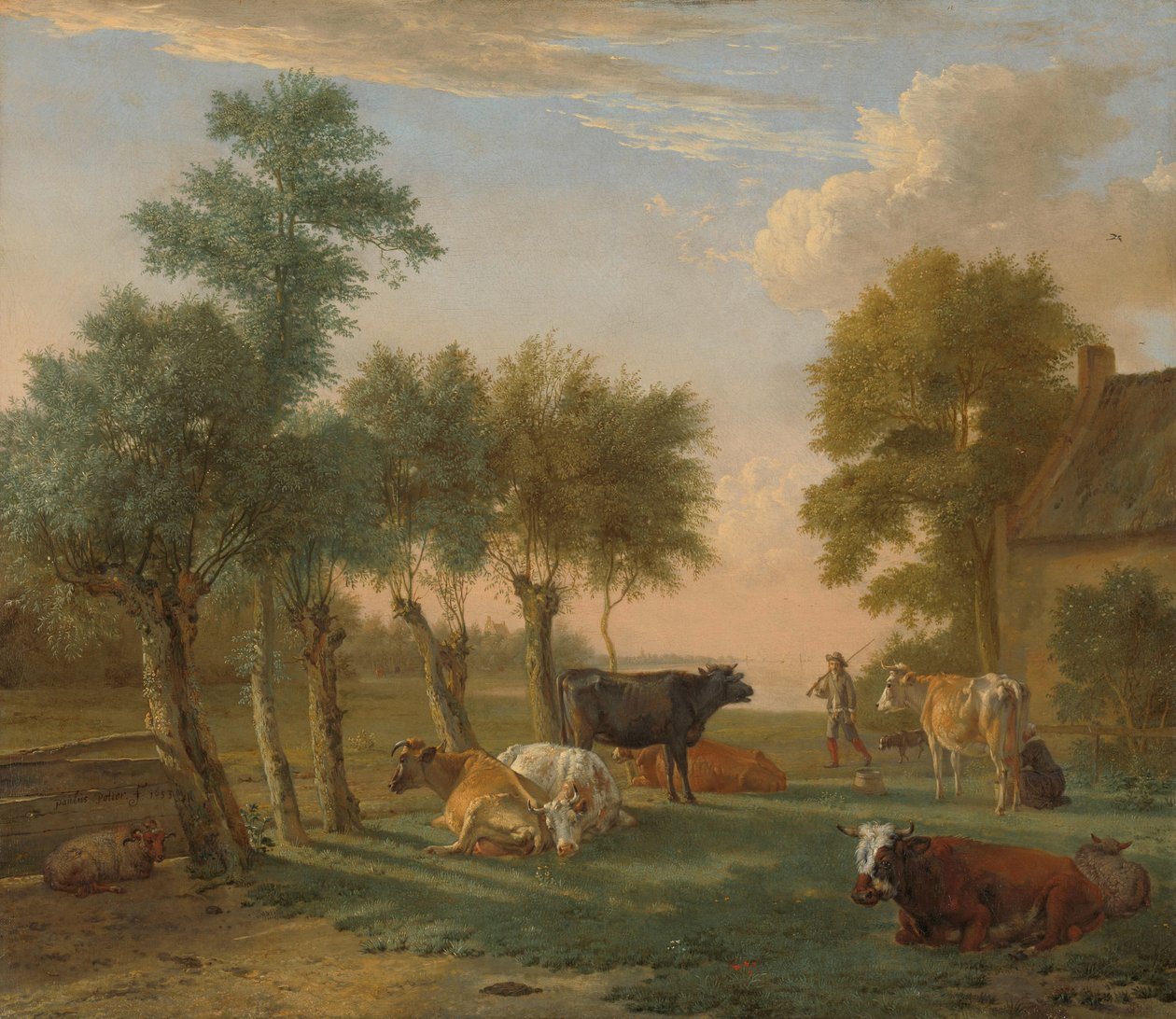 Vaches dans un pré près d