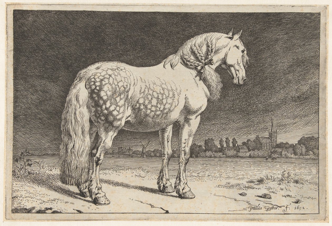 Le cheval frison - Paulus Potter