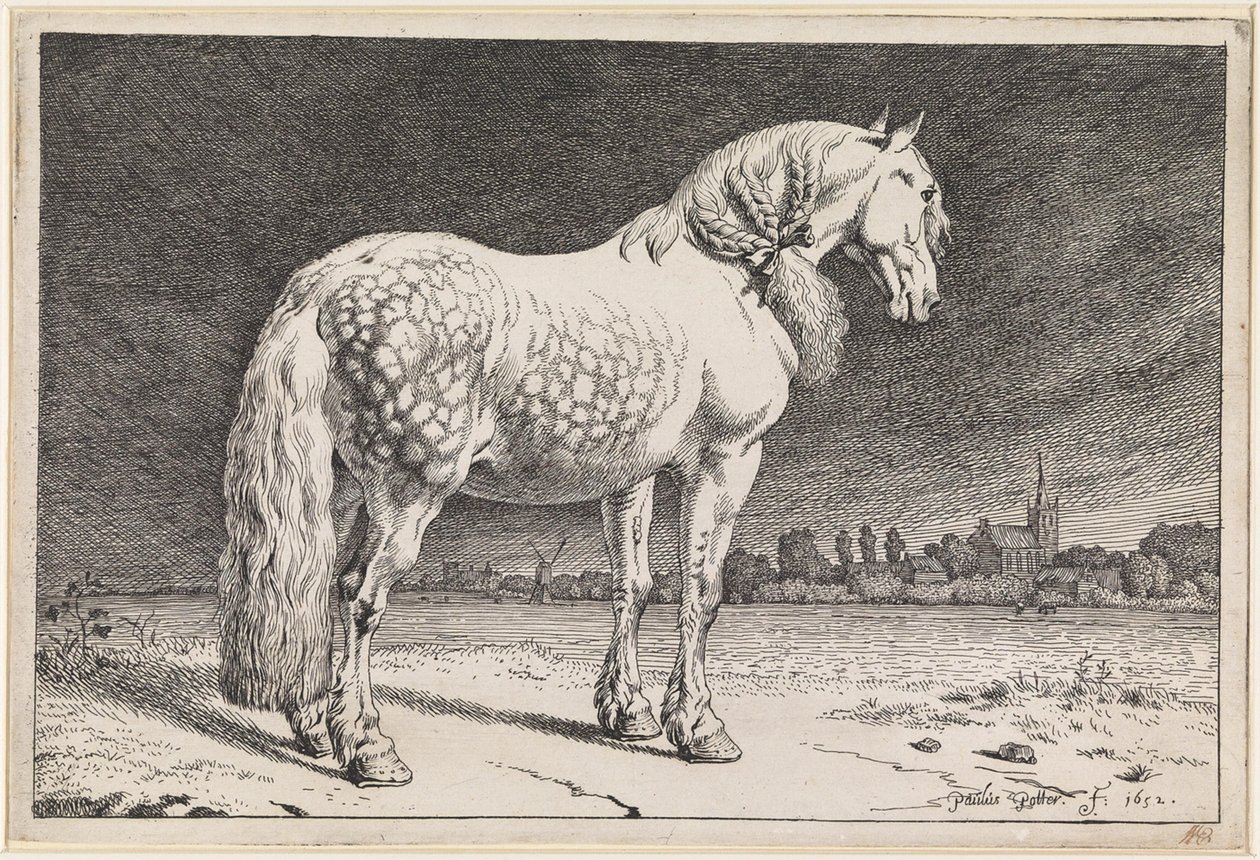 Le cheval frison - Paulus Potter