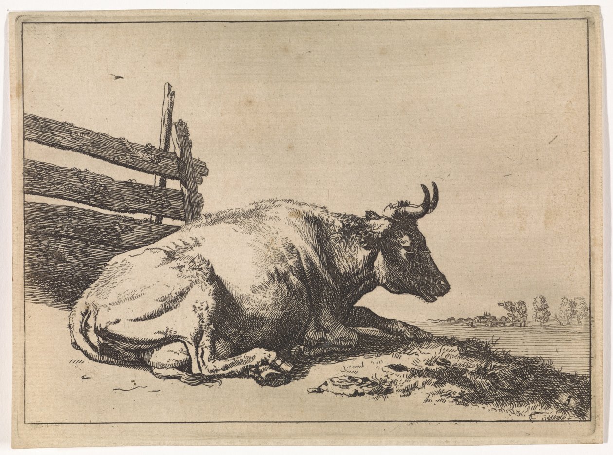 Vache couchée près d