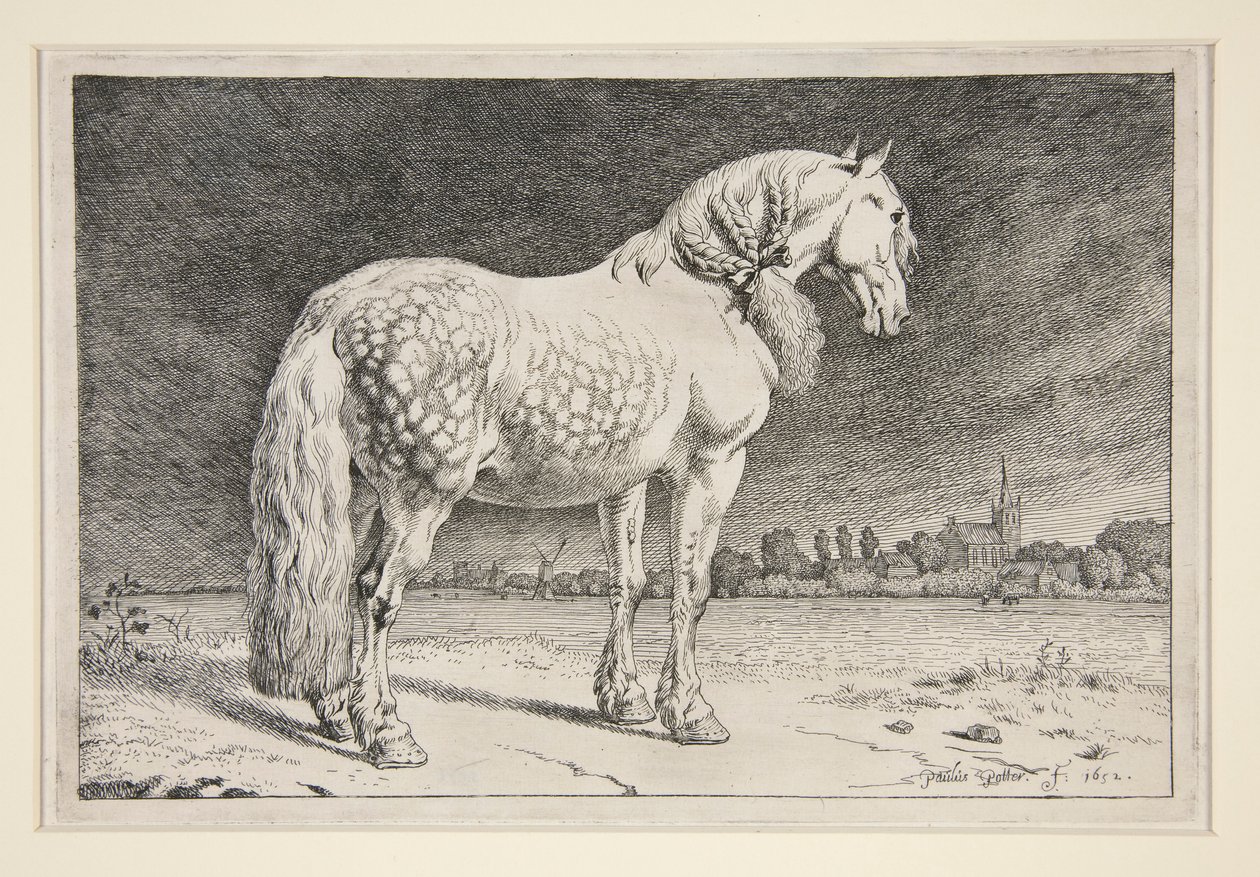 Le cheval frison - Paulus Potter