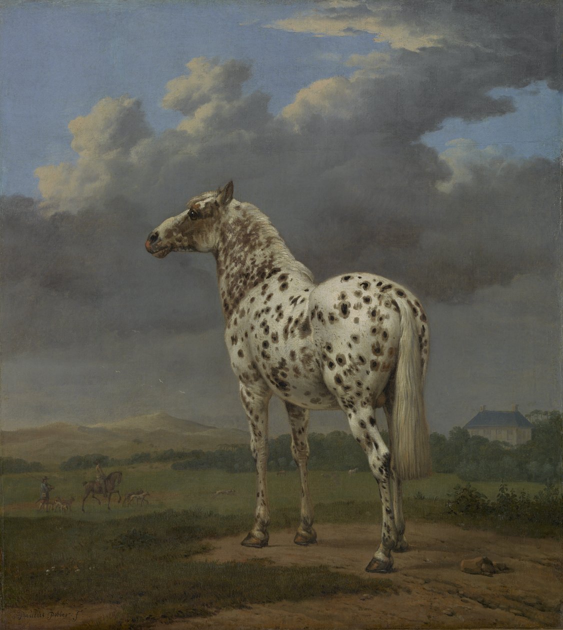 Le cheval pie - Paulus Potter