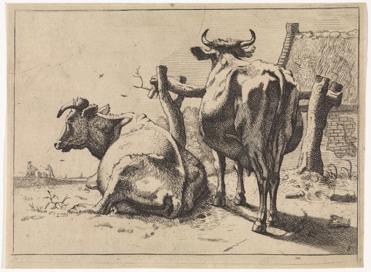 Deux vaches vues de dos - Paulus Potter