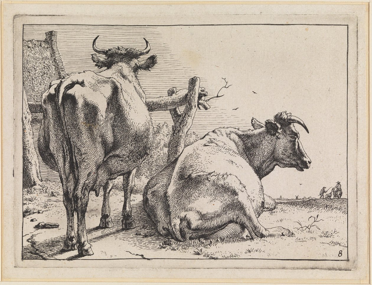 Deux vaches vues de dos - Paulus Potter