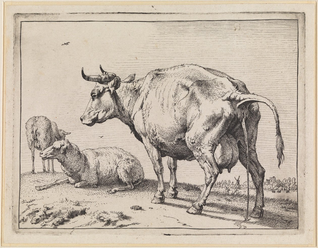 Vache urinant - Paulus Potter