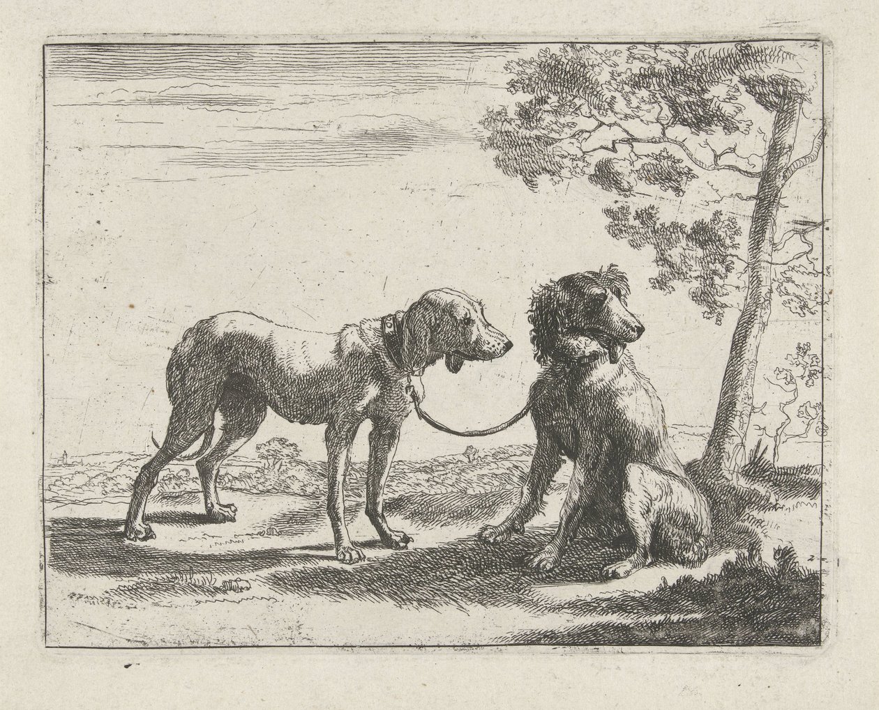 Deux chiens - Pauwels van Hillegaert