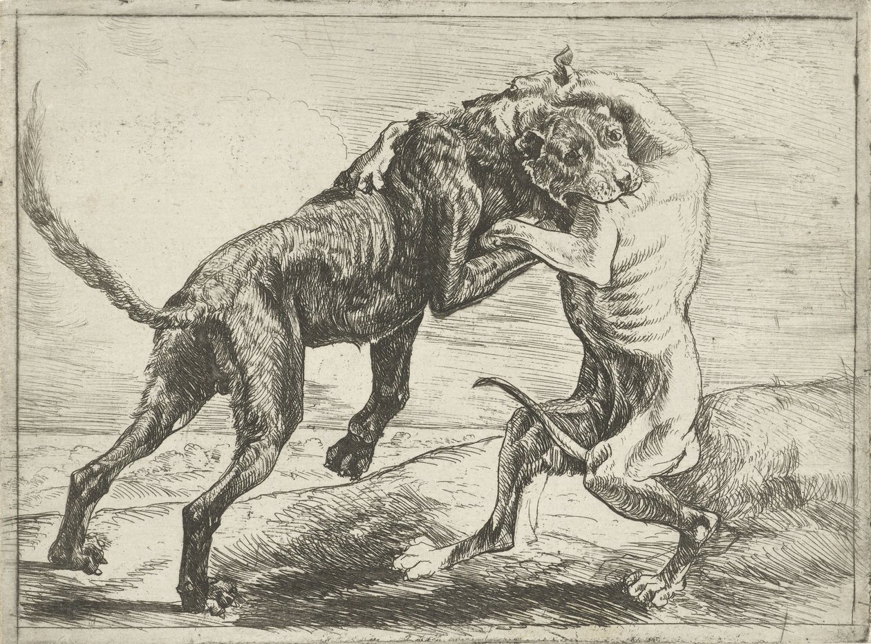 Deux chiens se battant - Pauwels van Hillegaert