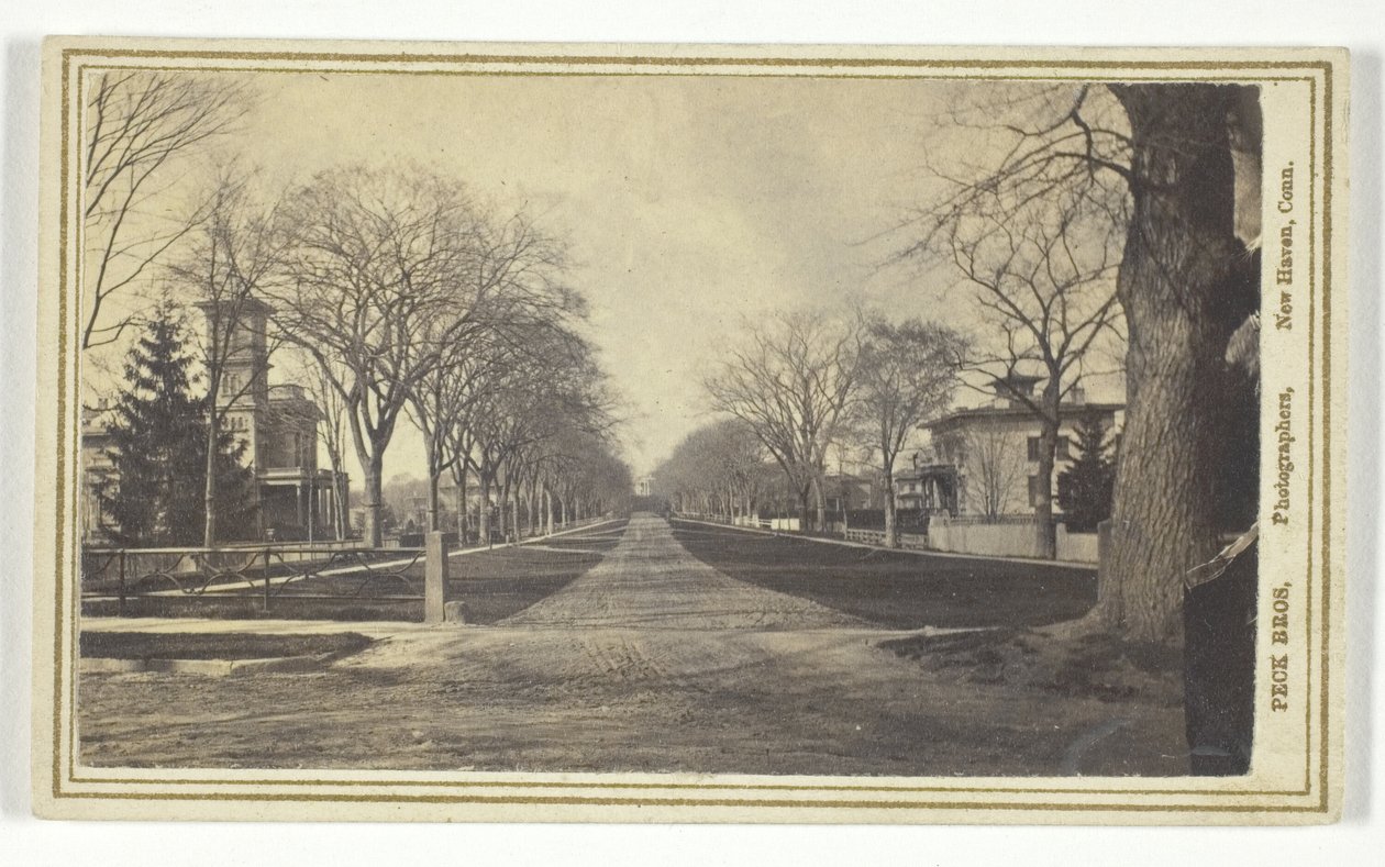 Avenue Hillhouse - Peck Brothers