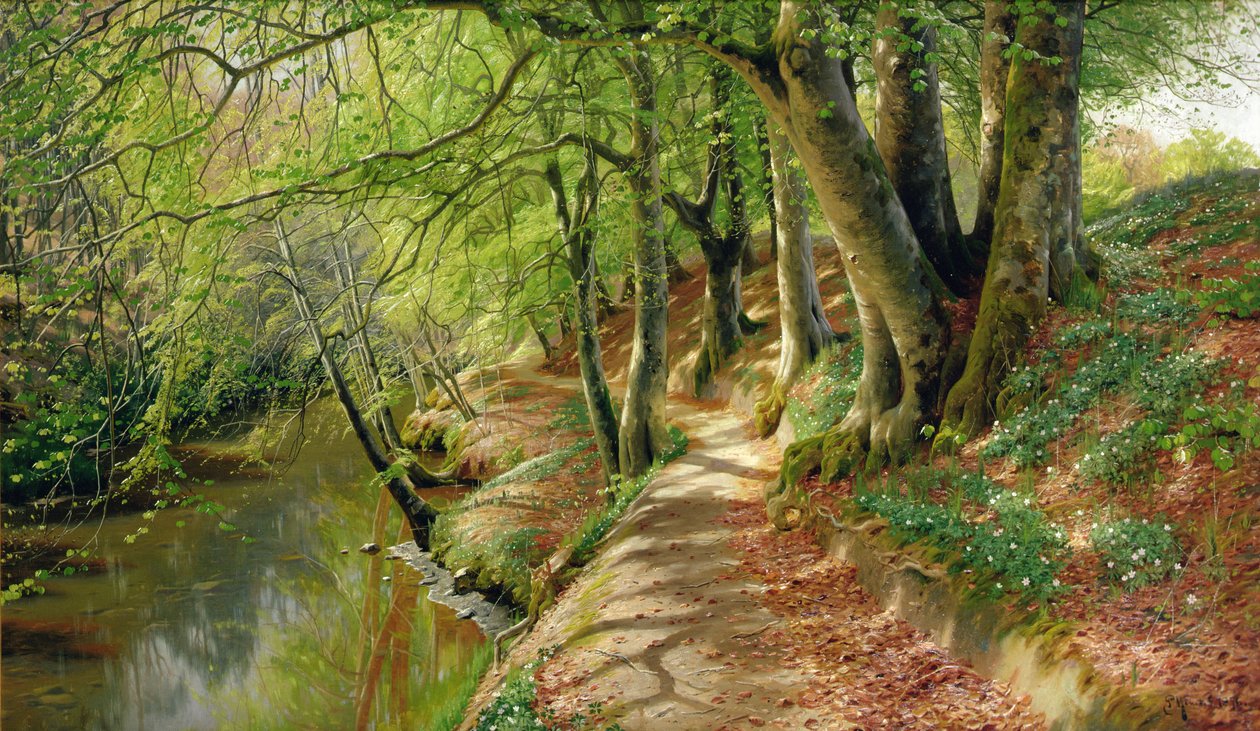 Paysage de rivière boisée (huile sur toile) - Peder Monsted