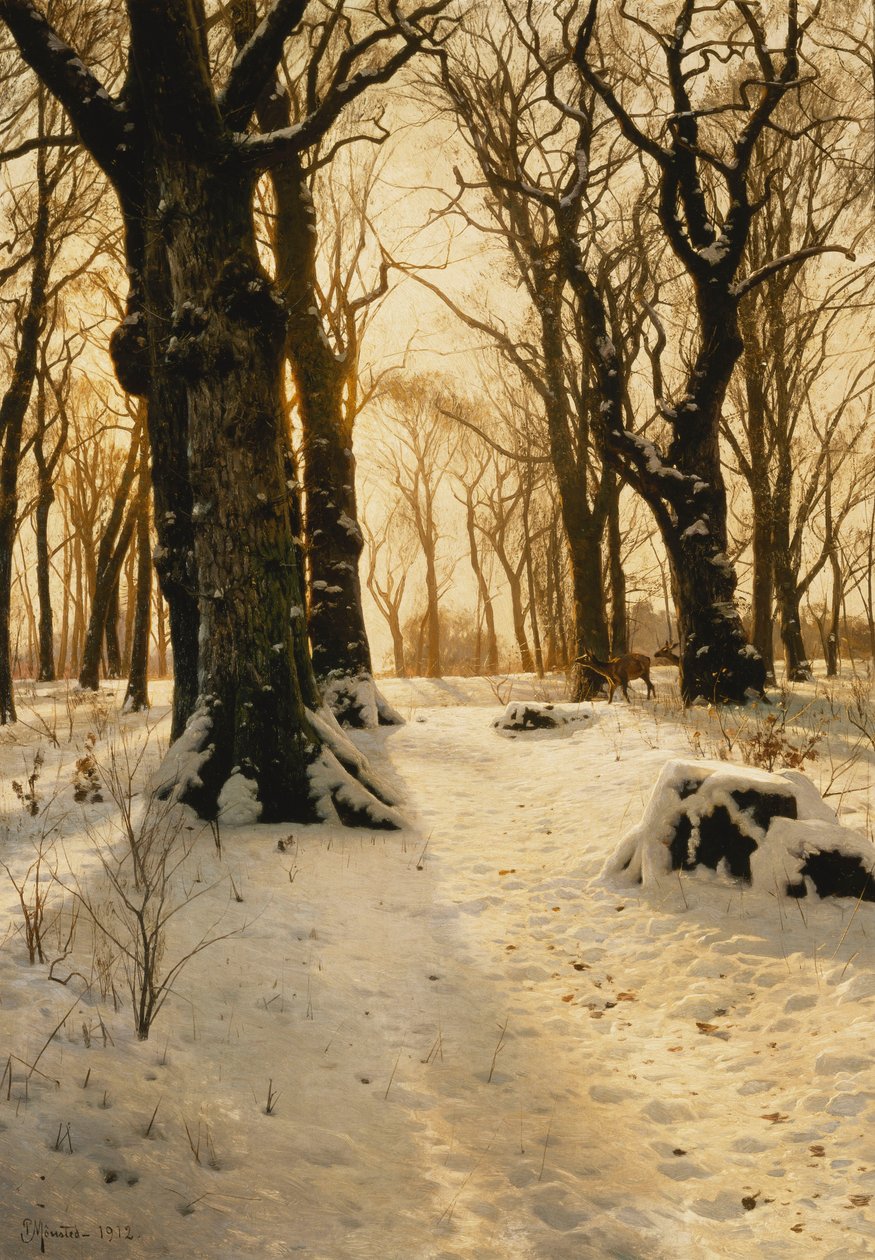Paysage d