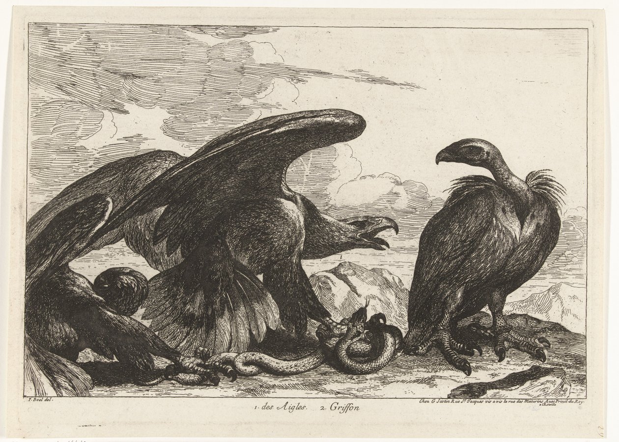 Vautour et aigle avec serpent - Peeter Boel (attributed to)