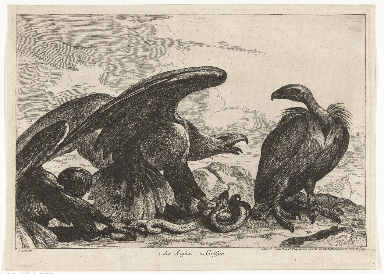 Vautour et aigle avec serpent - Peeter Boel (attributed to)