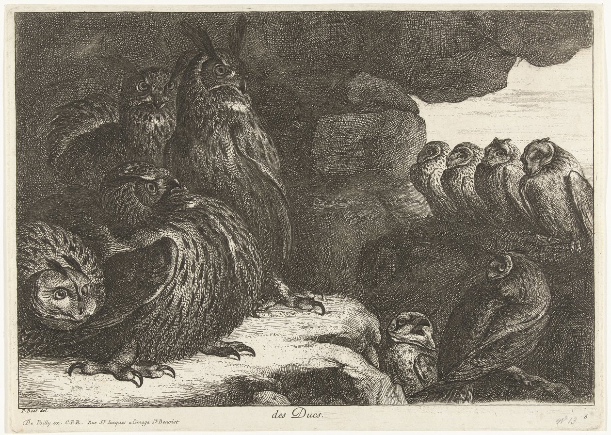 Chouettes dans une grotte - Peeter Boel (attributed to)