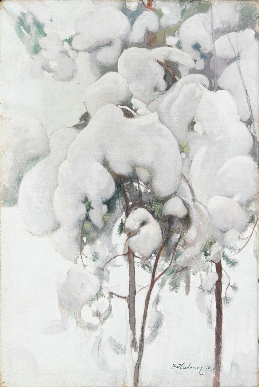 Jeunes pins couverts de neige - Pekka Halonen