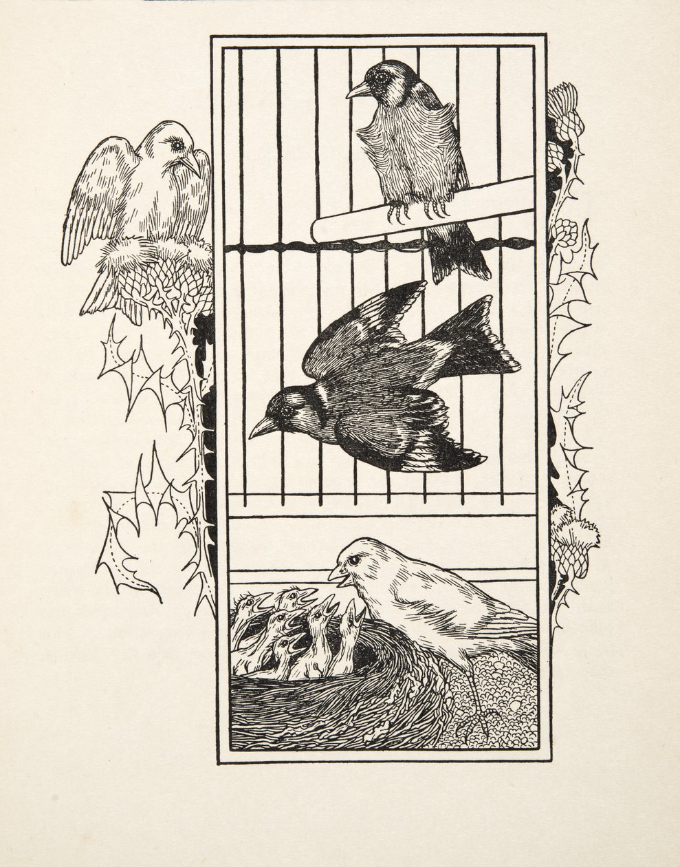 Un canari charitable, de Cent anecdotes d