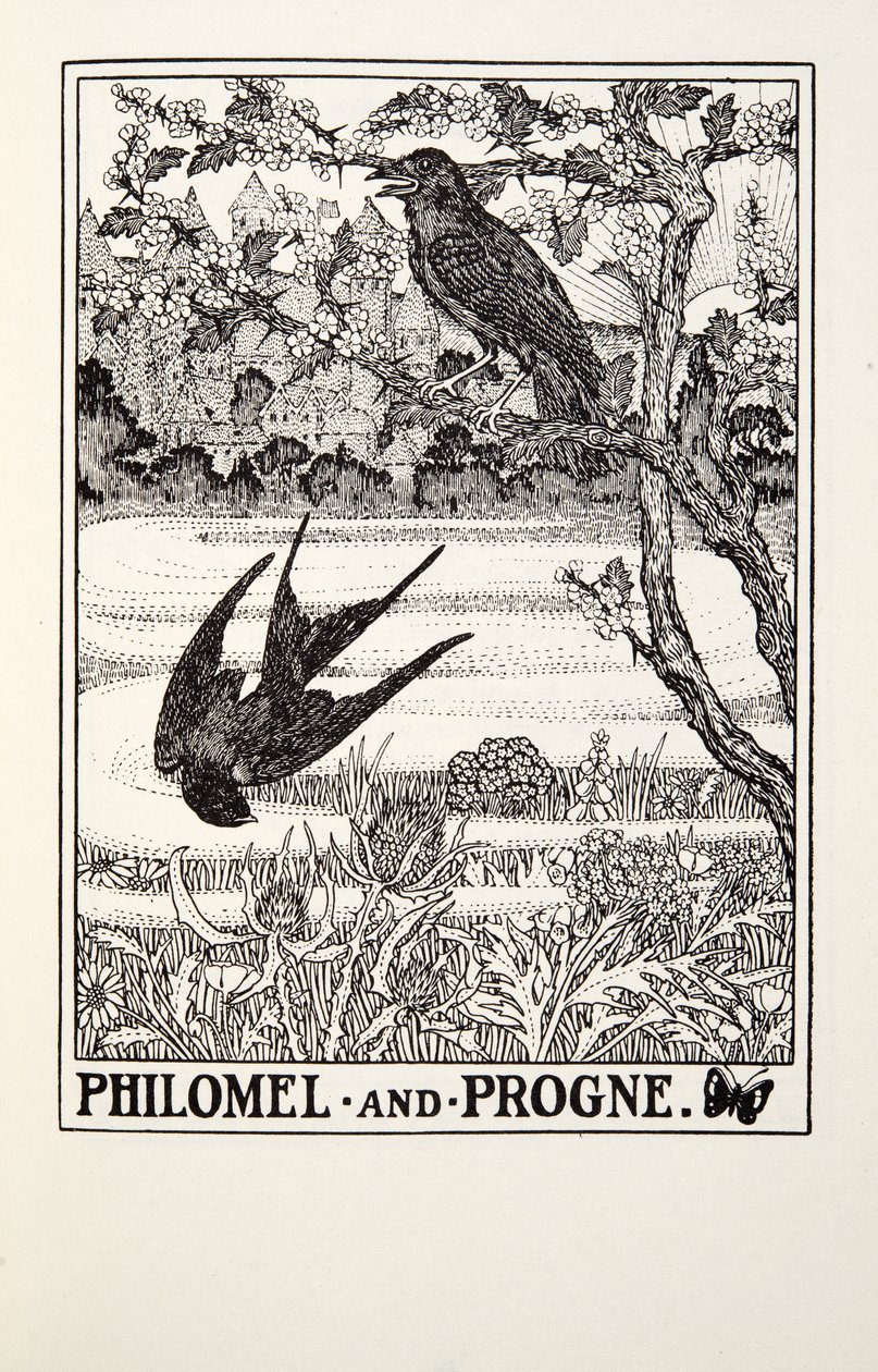Philomèle et Progne, des Fables de Fontaine, pub. 1905 - Percy J. Billingshurst