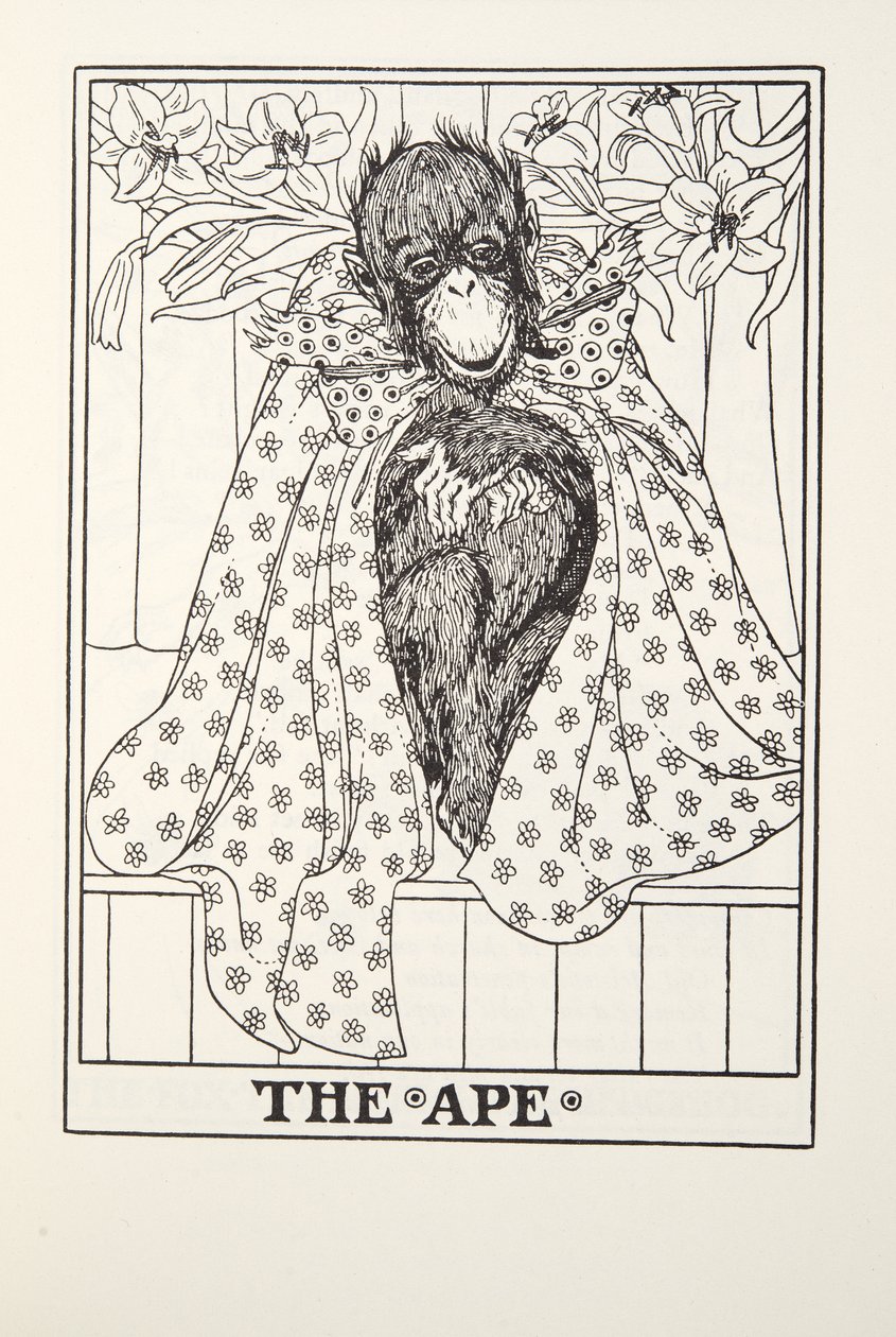 Le Singe, des Fables de Fontaine, pub. 1905 - Percy J. Billingshurst
