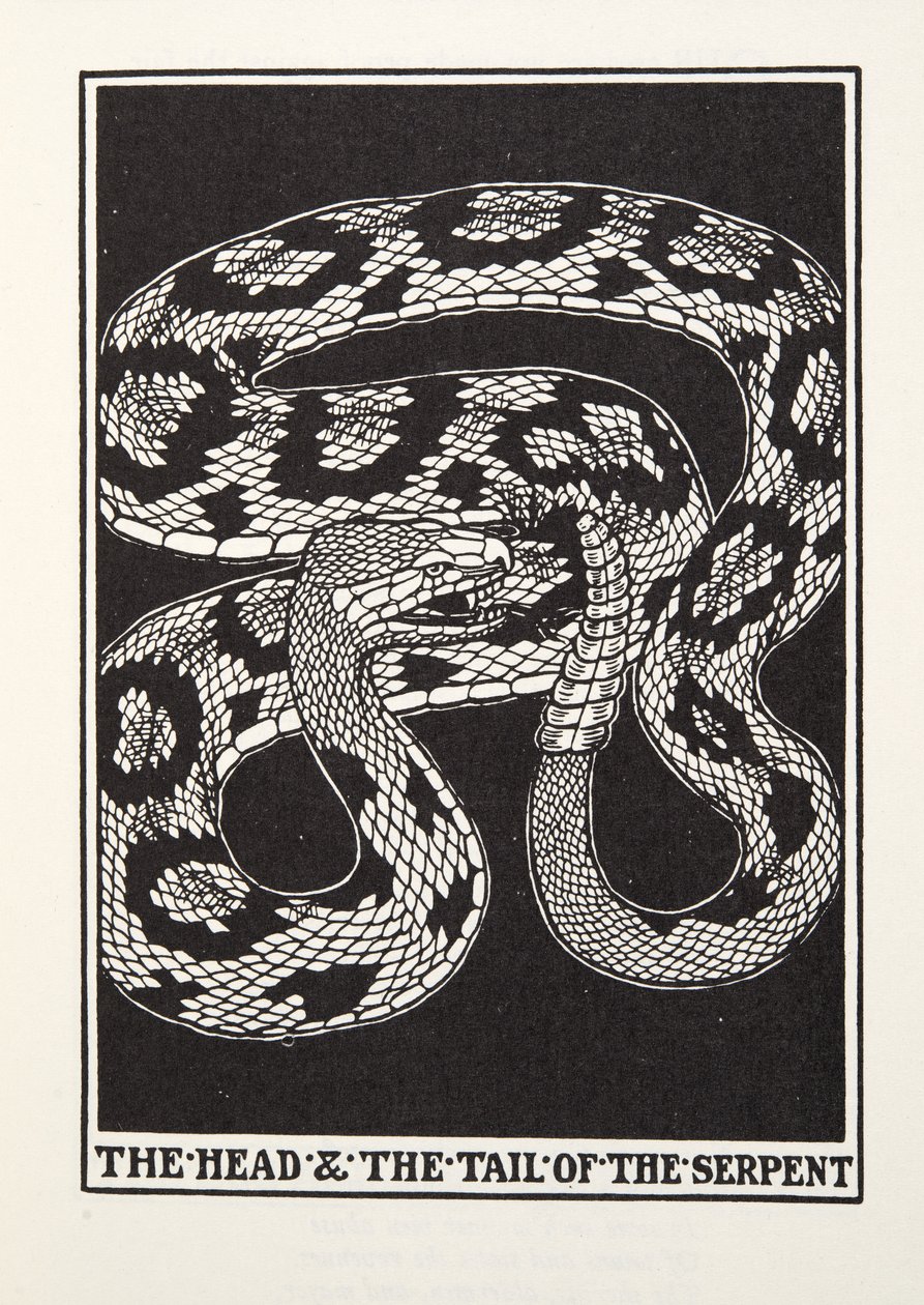 La Tête et la Queue du Serpent, des Fables de Fontaine, pub. 1905 - Percy J. Billingshurst