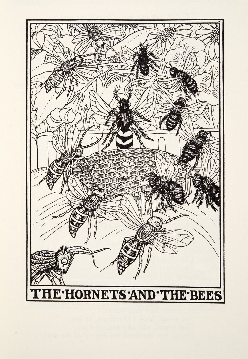 Les Frelons et les Abeilles, des Fables de Fontaine, pub. 1905 (gravure) - Percy J. Billingshurst