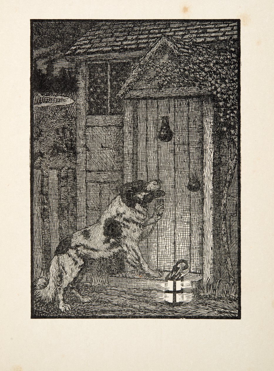 Le chien de Terre-Neuve, de A Hundred Anecdotes of Animals, pub. 1924 - Percy J. Billingshurst