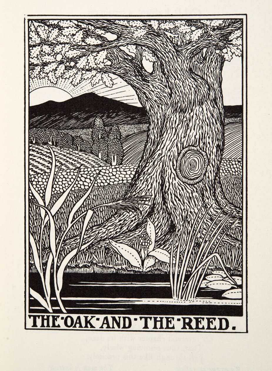 Le Chêne et le Roseau, des Fables de La Fontaine, pub. 1905 - Percy J. Billingshurst