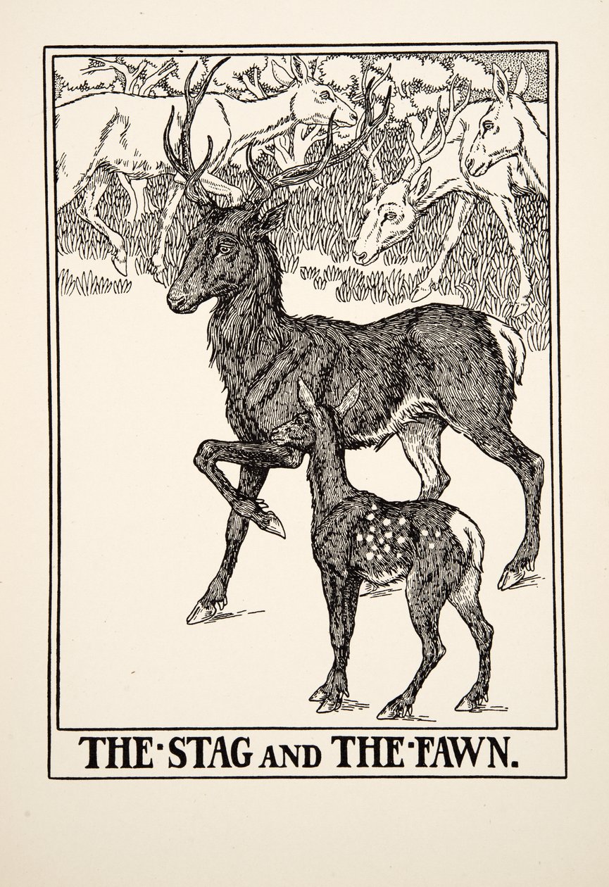 Le Cerf et le Faon, de Cent Fables d
