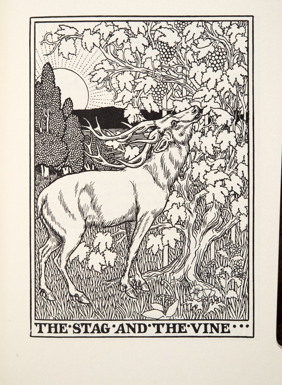 Le Cerf et la Vigne, des Fables de Fontaine, pub. 1905 - Percy J. Billingshurst