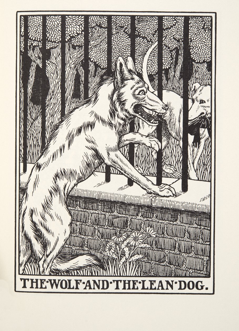 Le loup et le chien maigre, des Fables de Fontaine, pub. 1905 - Percy J. Billingshurst