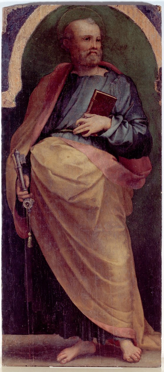 Saint Pierre, panneau latéral - Perino del Vaga