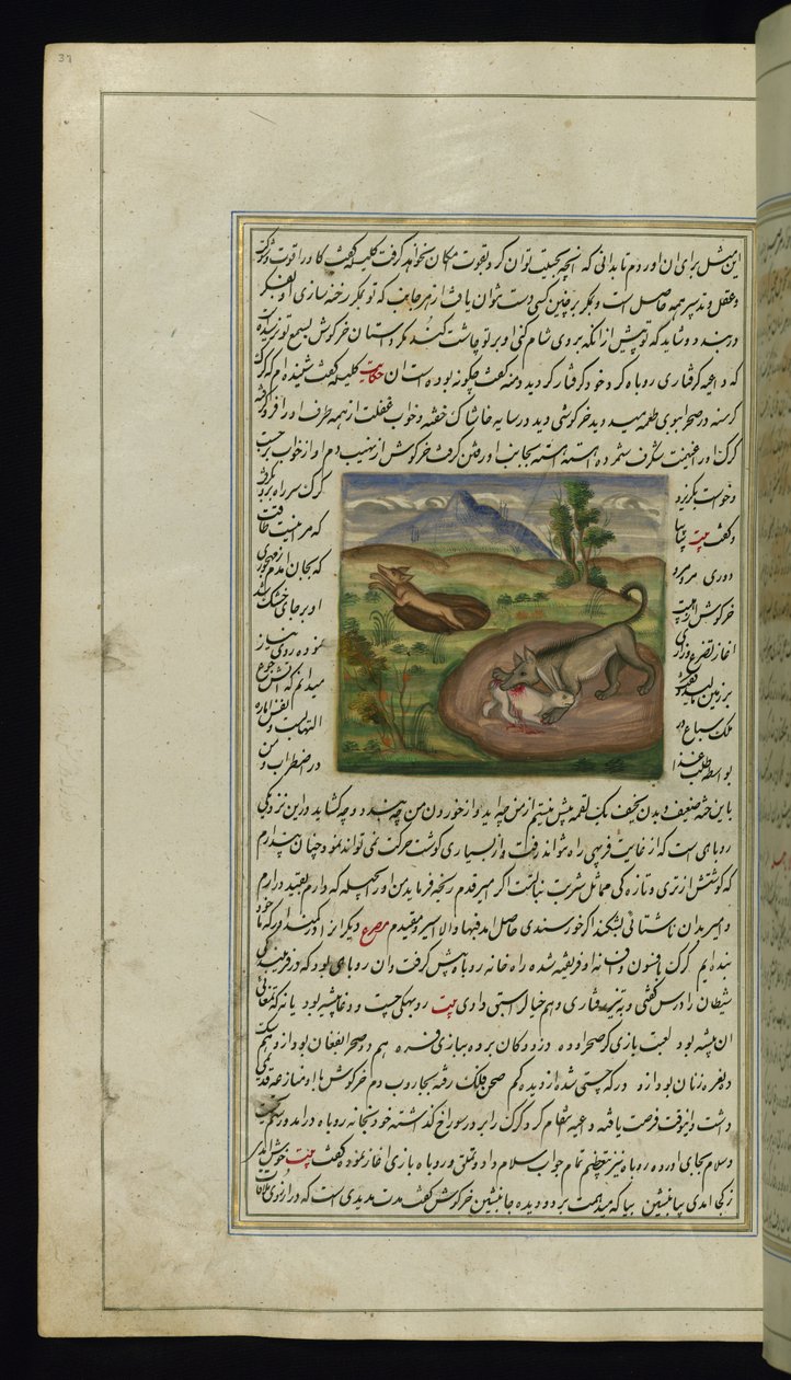 Un chacal dévore un lièvre des Lumières de Canopus, 1847 - Persian School