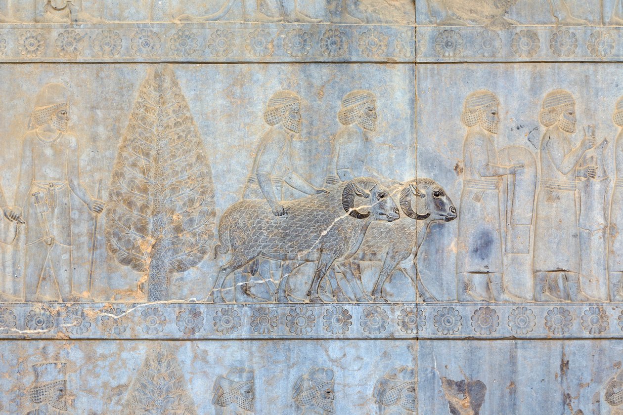 Bas-reliefs sur les murs du palais d