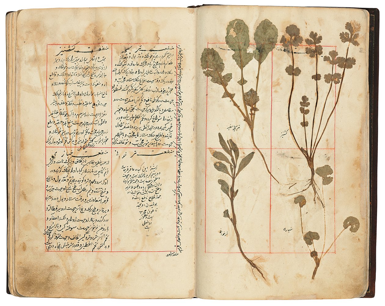 Hassan Bin Baqir Bin Jarrah: Gulzar Al-Rayahin, Qajar Iran - Persian School