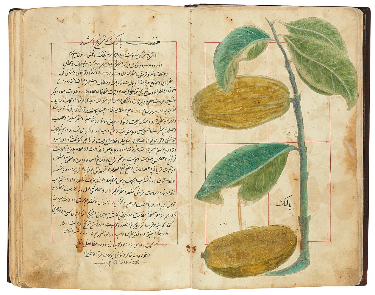 Hassan Bin Baqir Bin Jarrah: Gulzar Al-Rayahin, Qajar Iran - Persian School