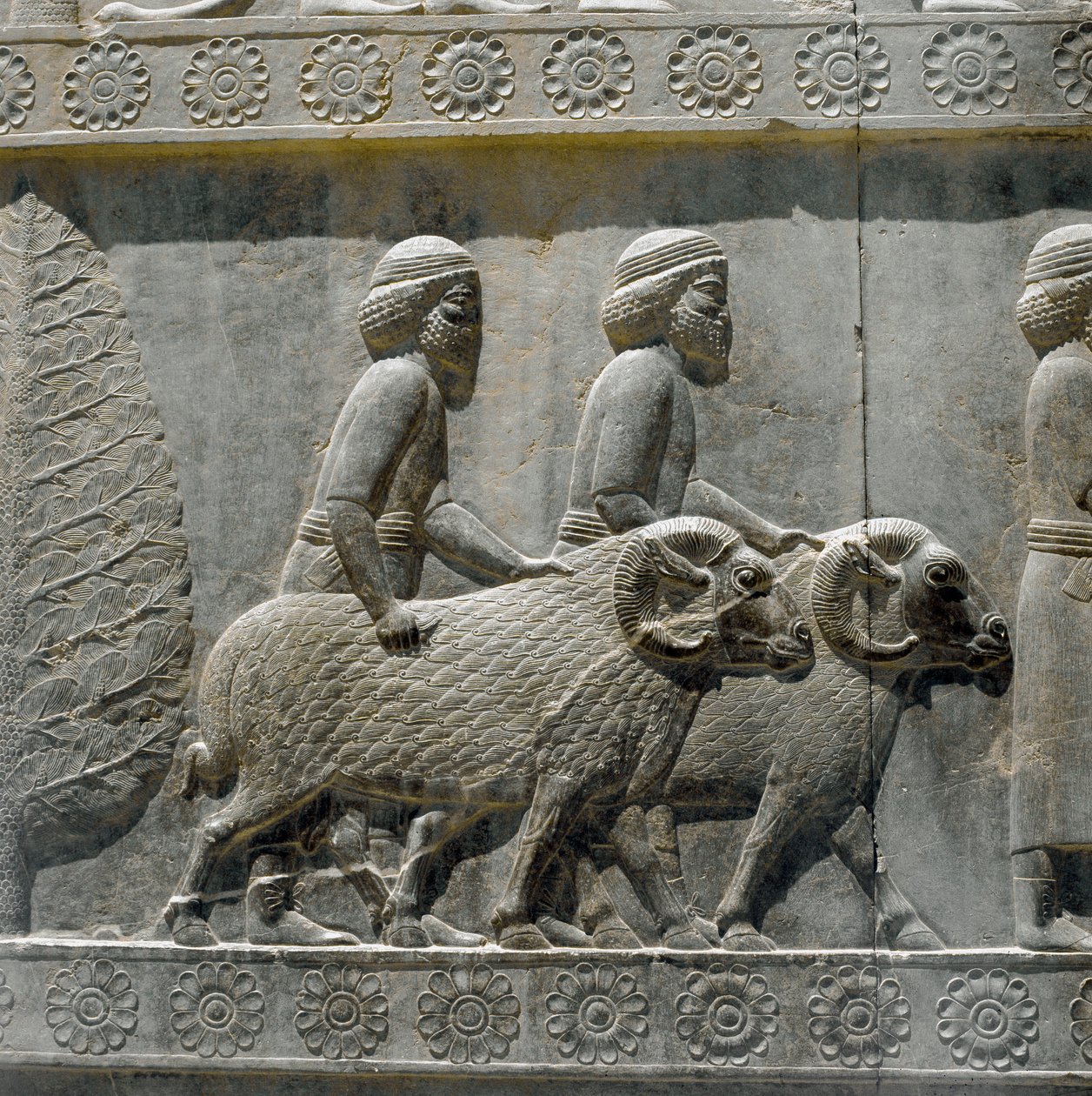 Les Sogdiens apportent des cadeaux à Darius I. Reliefs de l