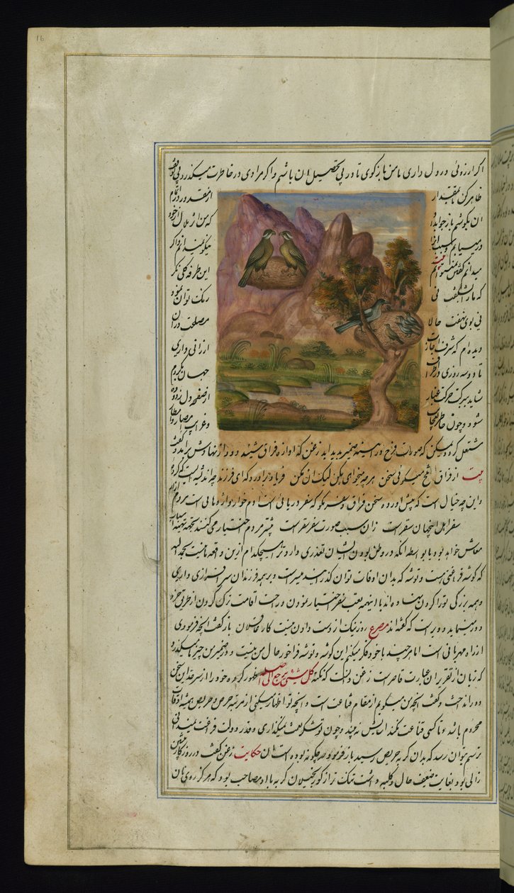 Deux faucons et un nid de corbeau des Lumières de Canopus - Persian School