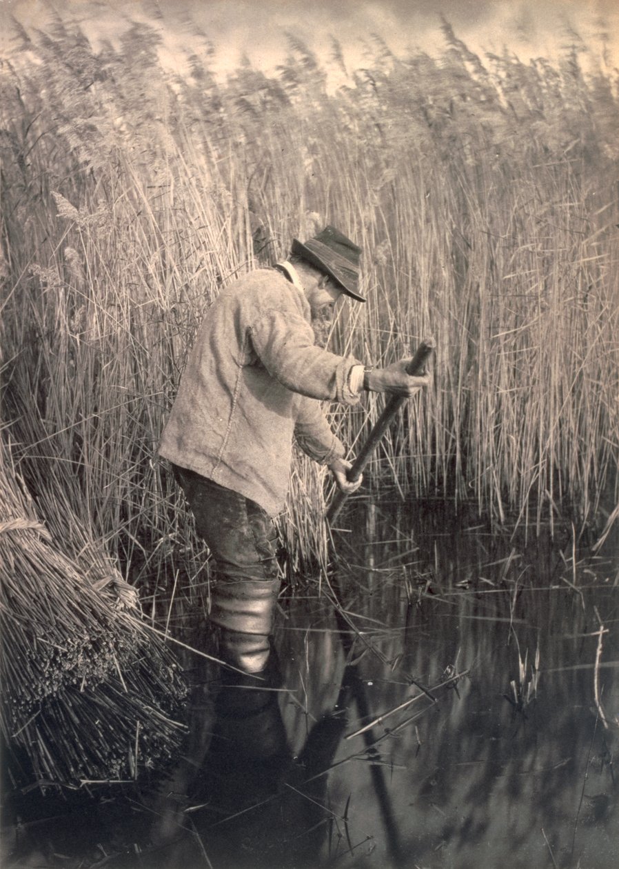 Un coupeur de roseaux au travail, vie et paysage sur les Norfolk Broads, c.1886 - Peter Emerson und Thomas Goodall