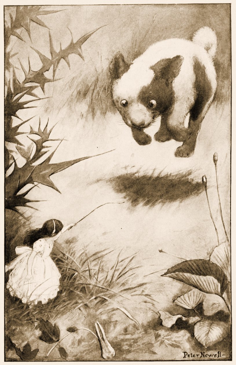 Le chiot a sauté en l