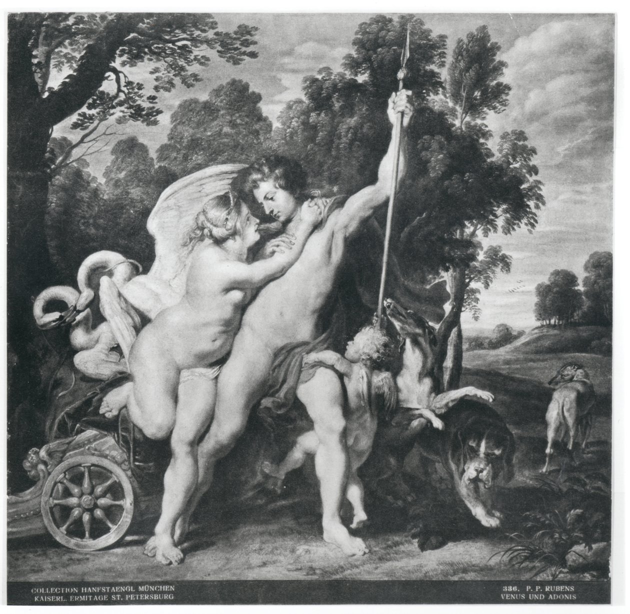 Vénus et Adonis - Peter Paul Rubens