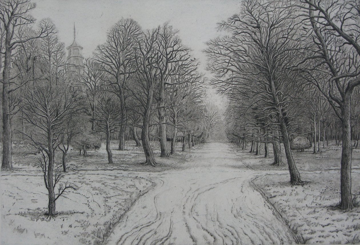 Les jardins de Kew en hiver - Peter A Ford