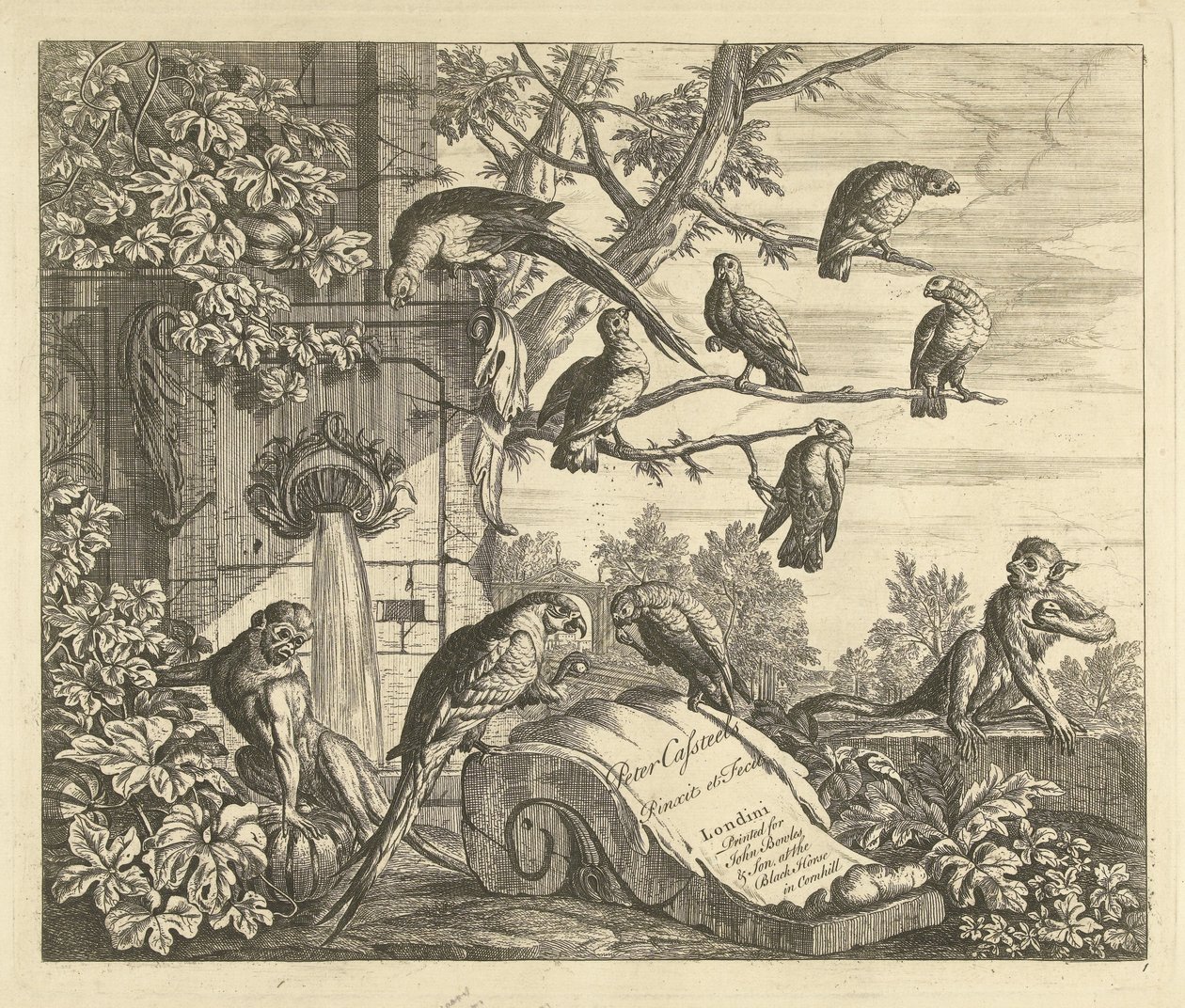 Perroquets et petits singes près d