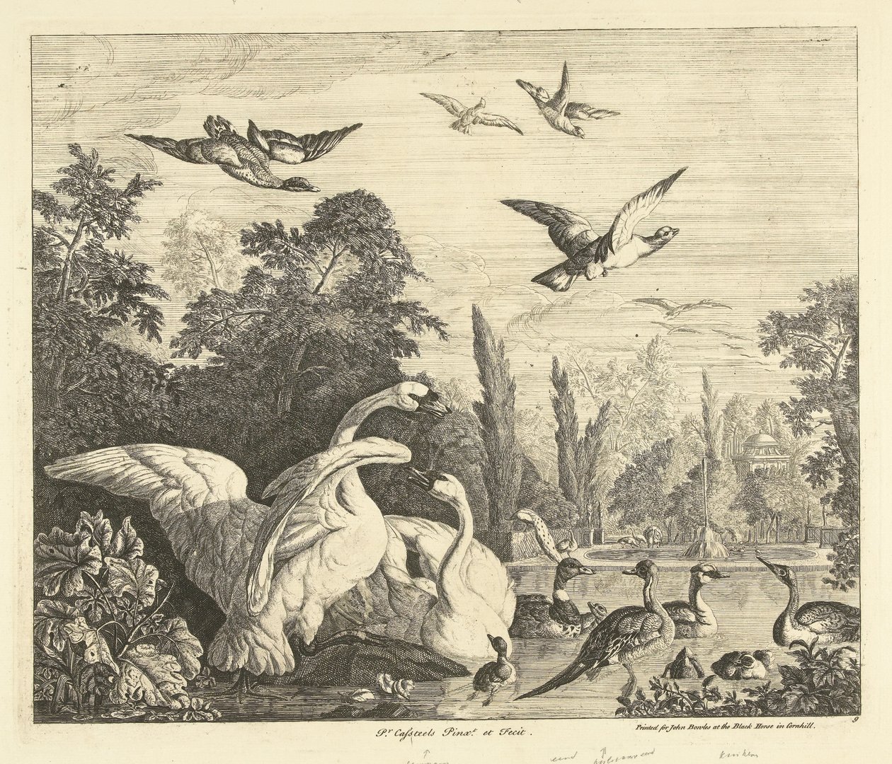 Cygnes et canards dans un étang à oiseaux Divers oiseaux (titre de la série) - Peter Casteels (III)
