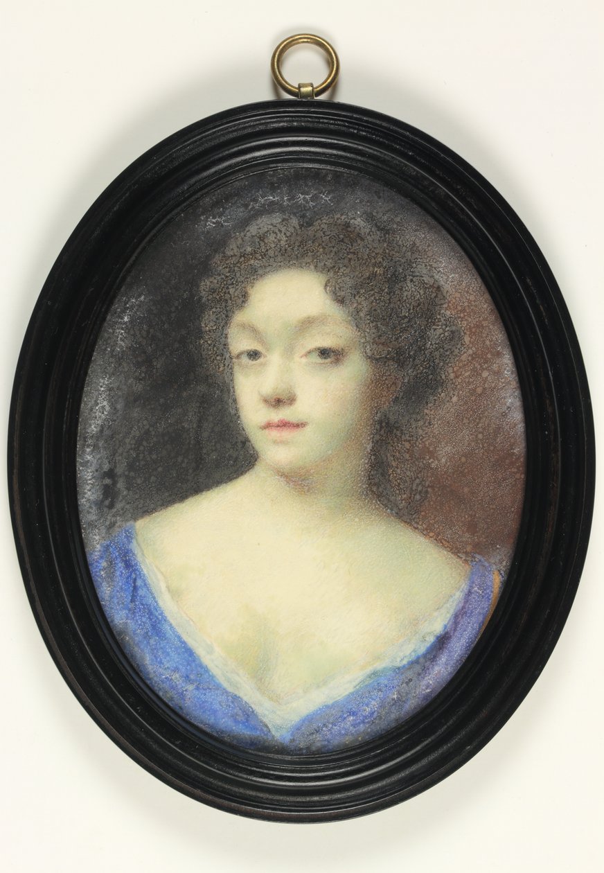 Une dame appelée Mme Hillesley - Peter Cross