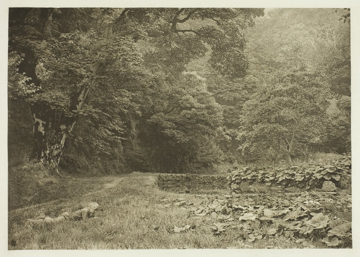 Un coin tranquille à Beresford Dale - Peter Henry Emerson