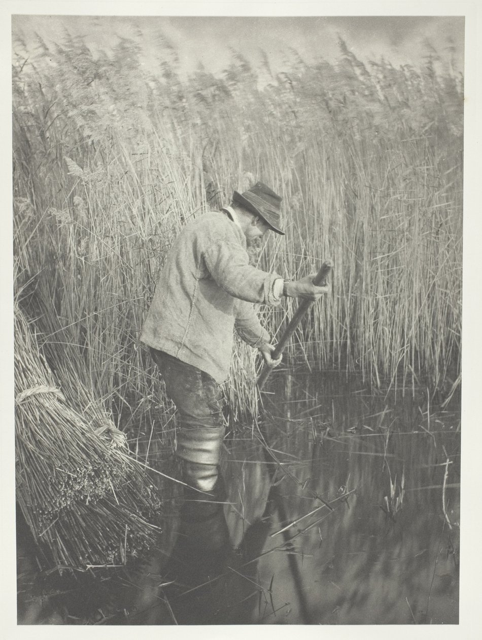 Un coupeur de roseaux au travail - Peter Henry Emerson