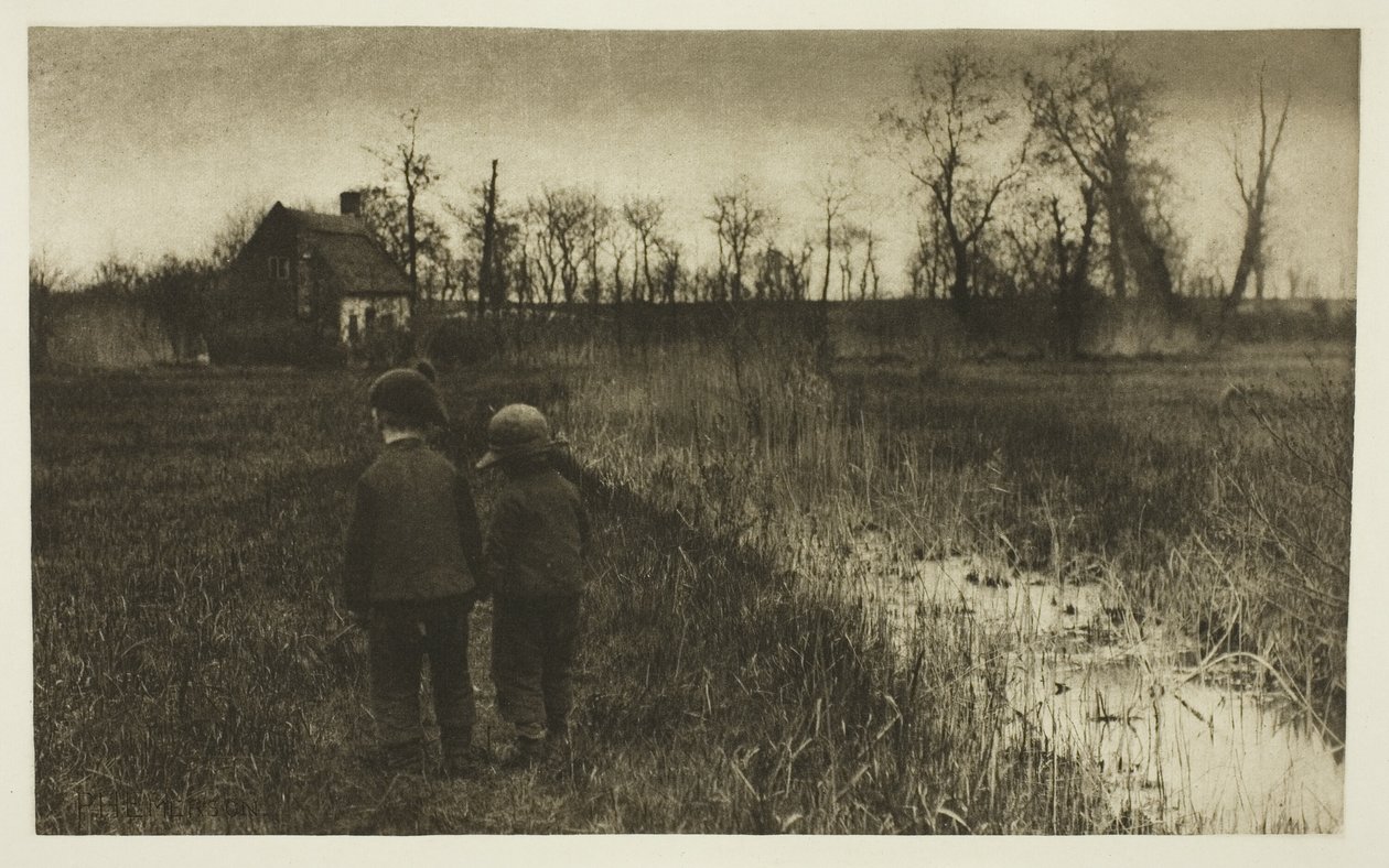 Un crapaud sur le chemin : Début du printemps à Norfolk - Peter Henry Emerson