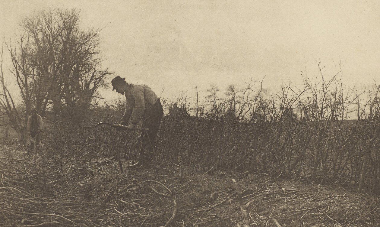 Clôtures dans le Suffolk - Peter Henry Emerson