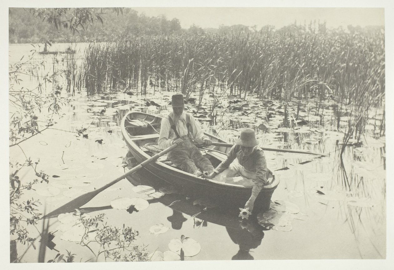 Cueillir des nénuphars - Peter Henry Emerson
