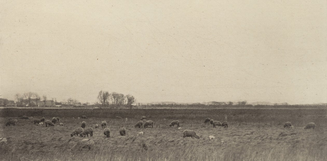 Marais par la mer du Nord - Peter Henry Emerson