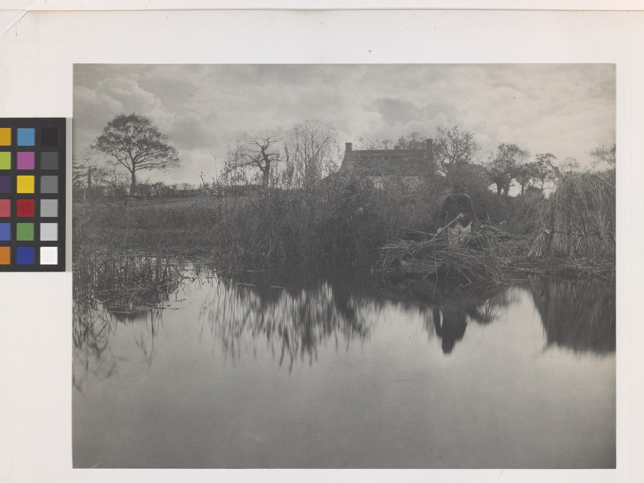 Quanting Le Gladdon - Peter Henry Emerson