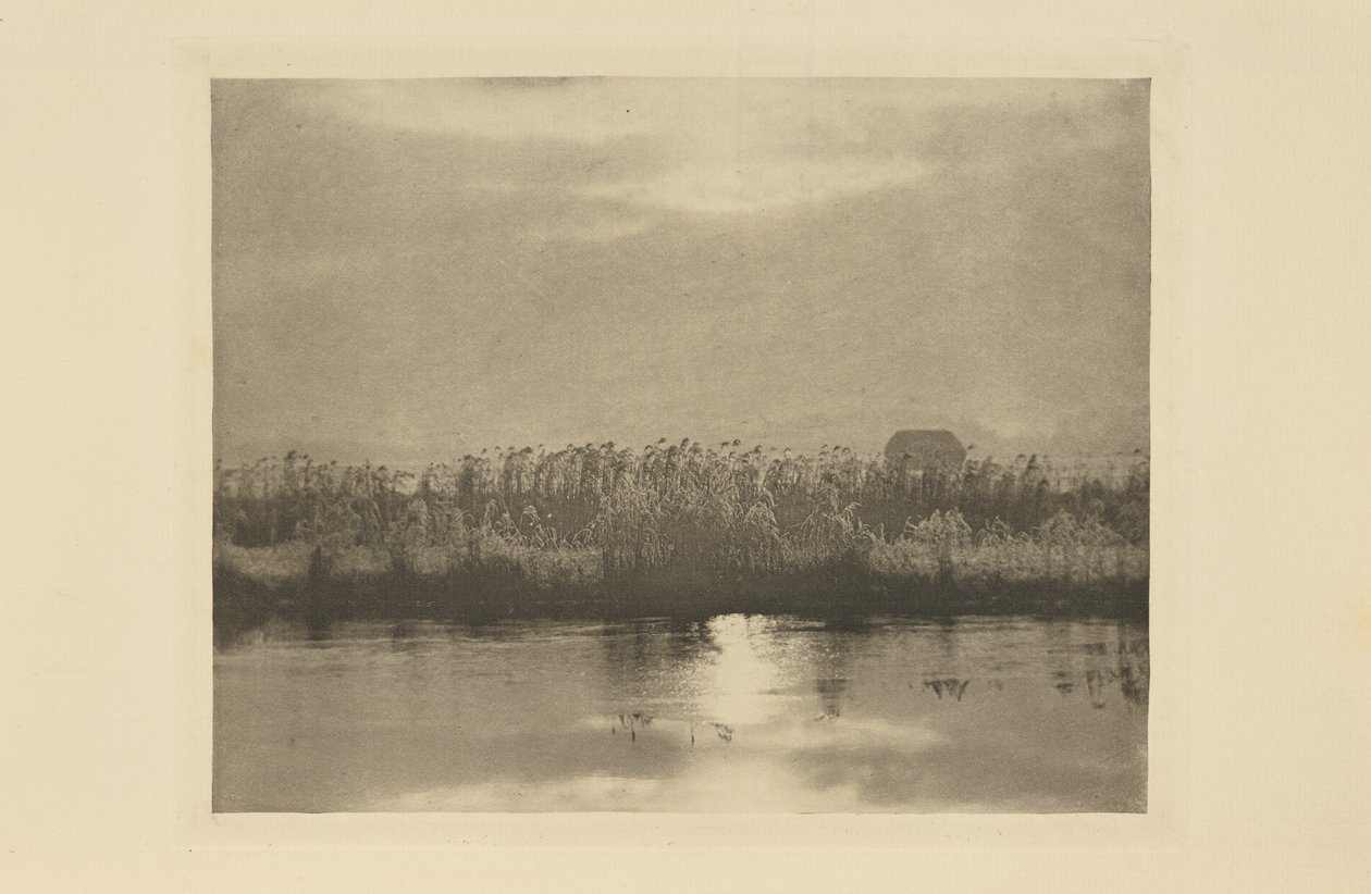 Cristaux de givre - Peter Henry Emerson